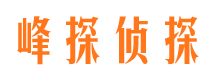 壶关市调查公司